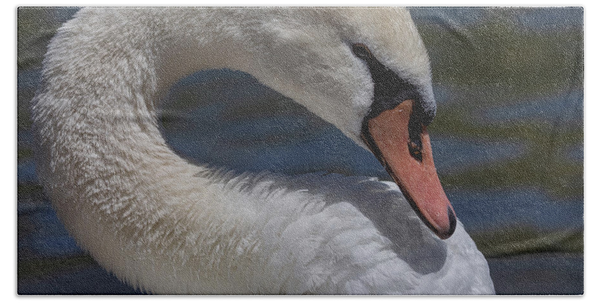 Photography Hand Towel featuring the photograph Regal Swan by Alma Danison