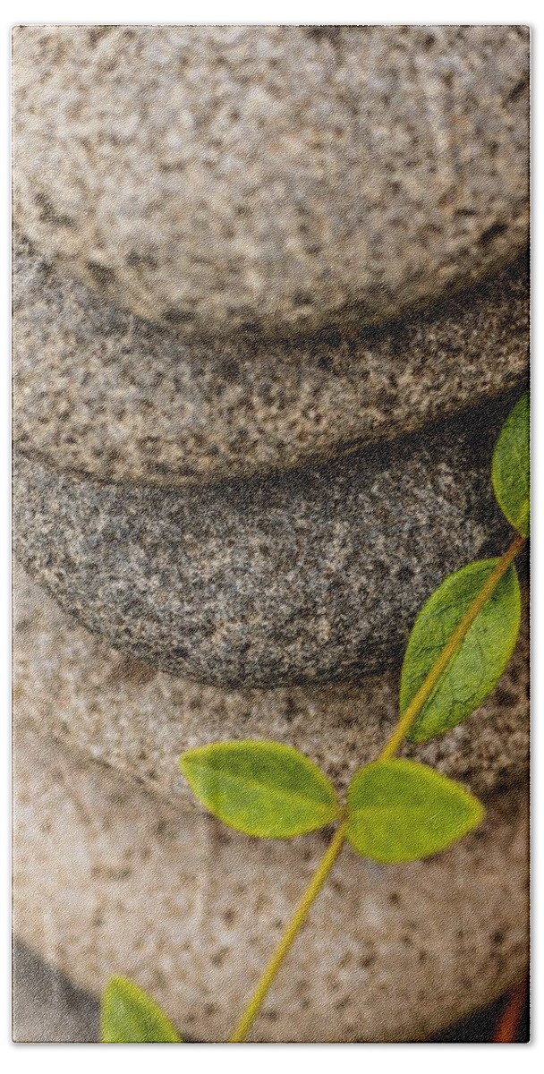 Rock Hand Towel featuring the photograph Relaxing Rocks by Anamar Pictures