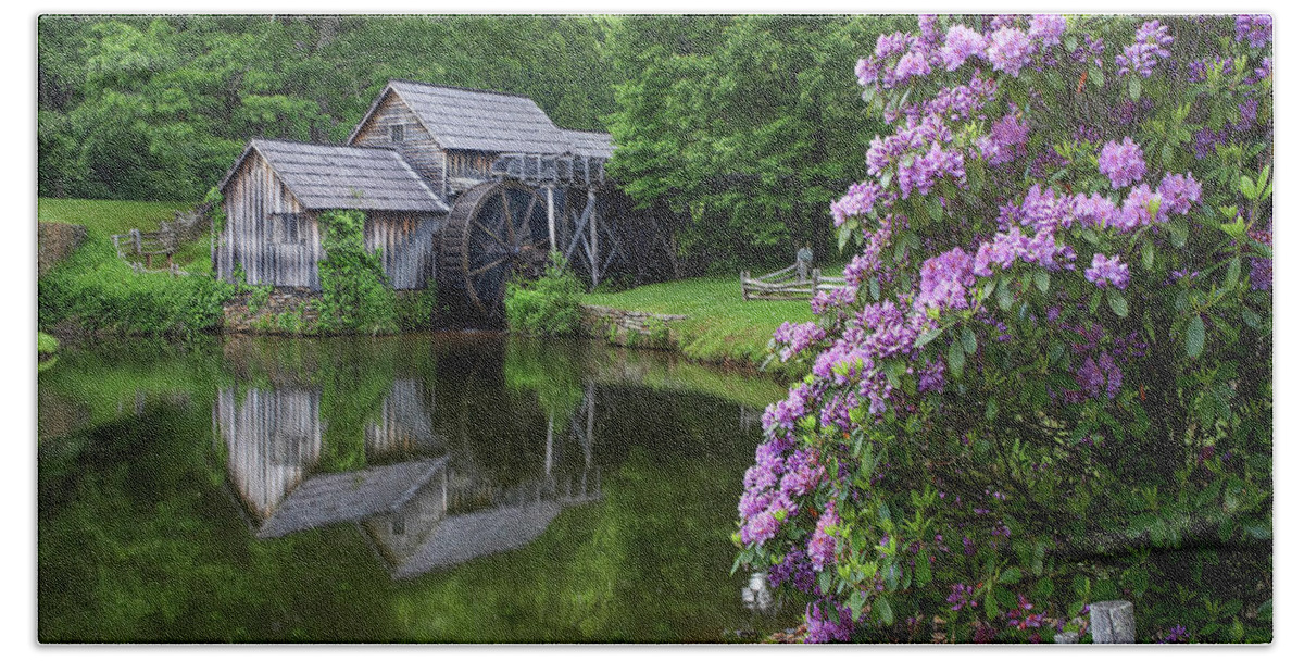 00586262 Hand Towel featuring the photograph Rhododendron At Mabry Mill, Blue Ridge Parkway, Virginia by Tim Fitzharris