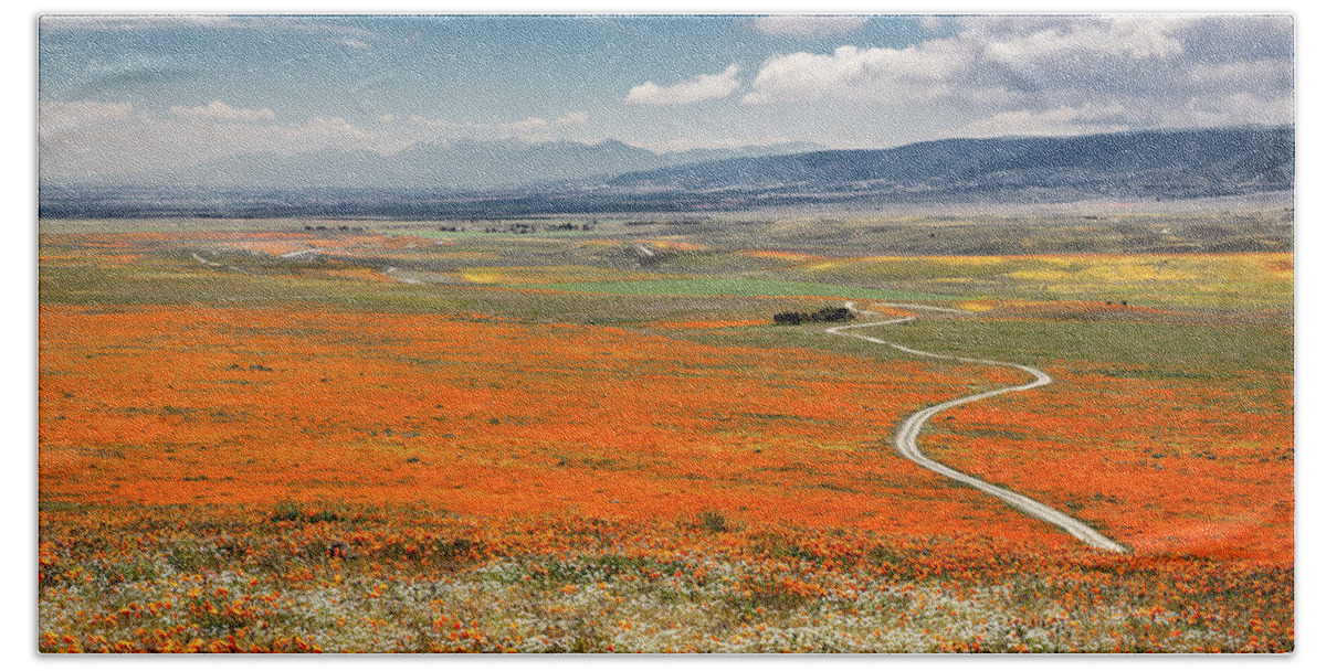 Antelope Valley Poppy Reserve Bath Towel featuring the photograph Road Through The Wildflowers by Endre Balogh