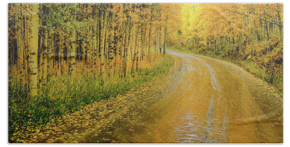 Aspens Hand Towel featuring the photograph Road To Oz by Johnny Boyd