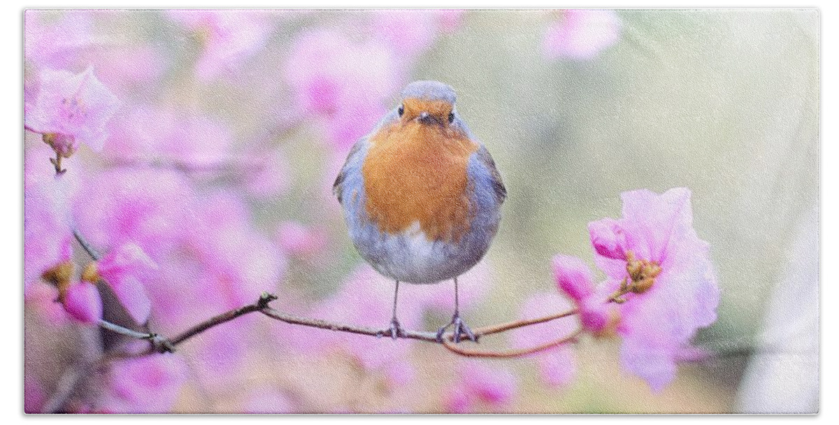 Bird Hand Towel featuring the photograph Robin on pink flowers by Top Wallpapers