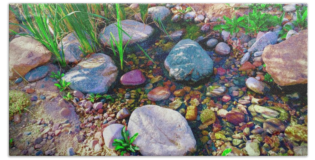 Rocks And Reeds Hand Towel featuring the photograph Rocks and Reeds Too by Debra Grace Addison