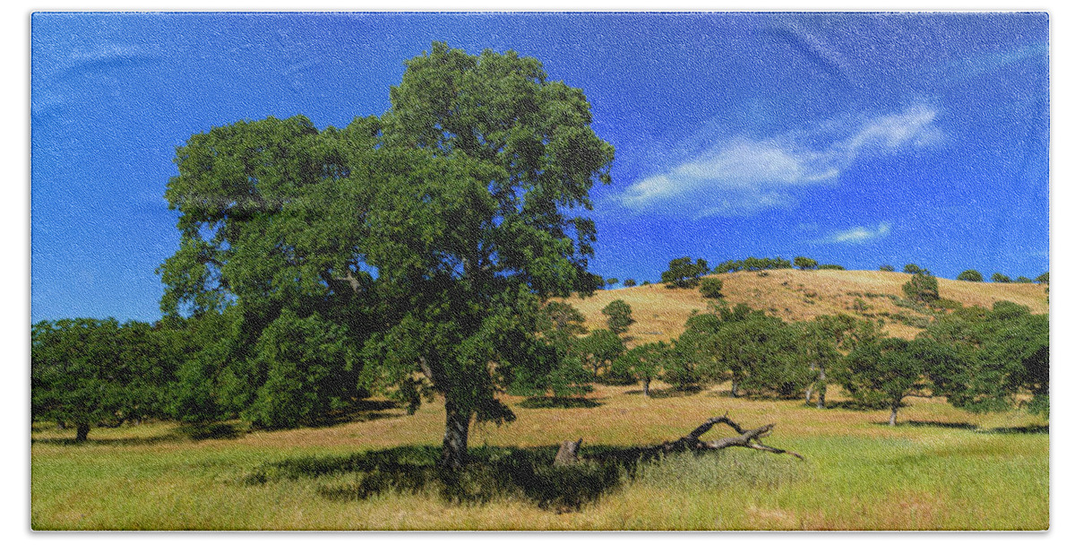 Tree Bath Sheet featuring the photograph Rolling Hills Oak by Chris Brannen