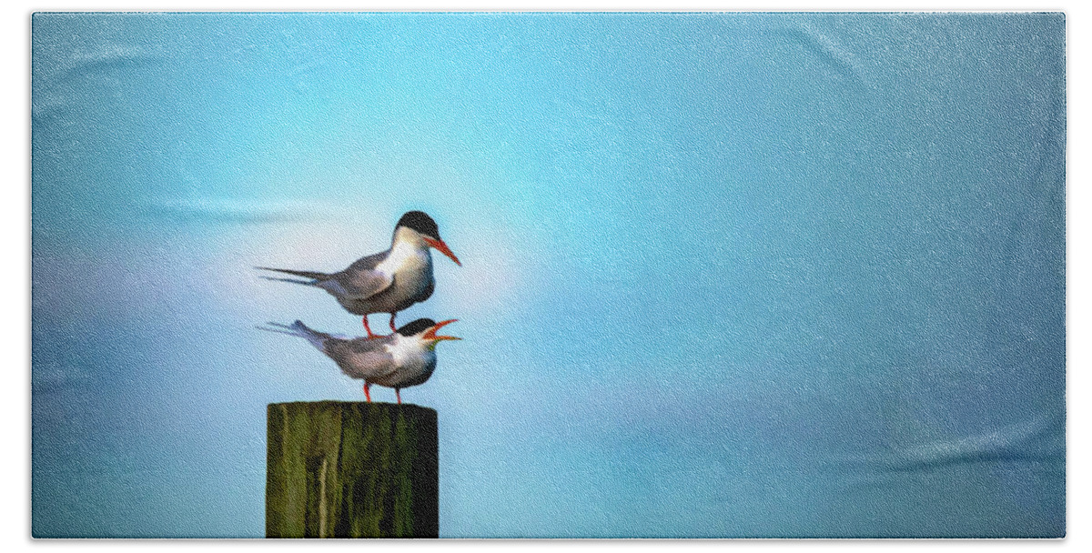 Terns Bath Towel featuring the photograph Romance On The High Seas by Cathy Kovarik