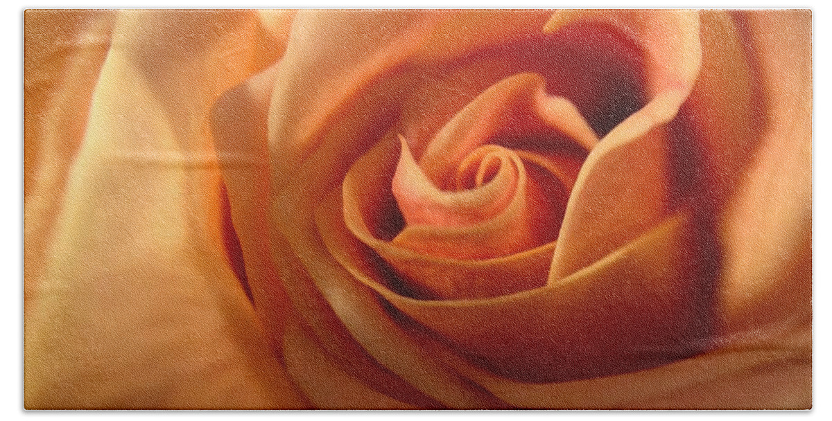 Flower Bath Towel featuring the photograph Melon-colored Rose by Anamar Pictures