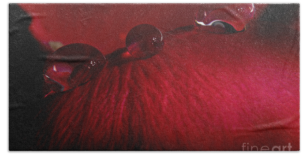 Rose Bath Towel featuring the photograph Rose Petal Droplets by Mike Eingle