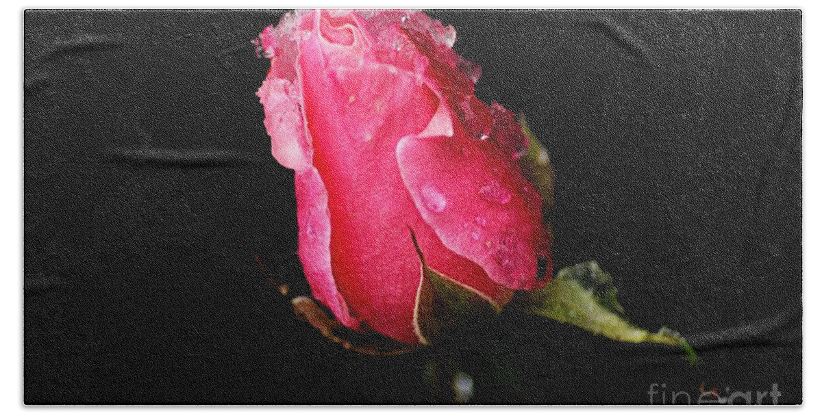 Photography Hand Towel featuring the photograph Rosebud by Larry Ricker