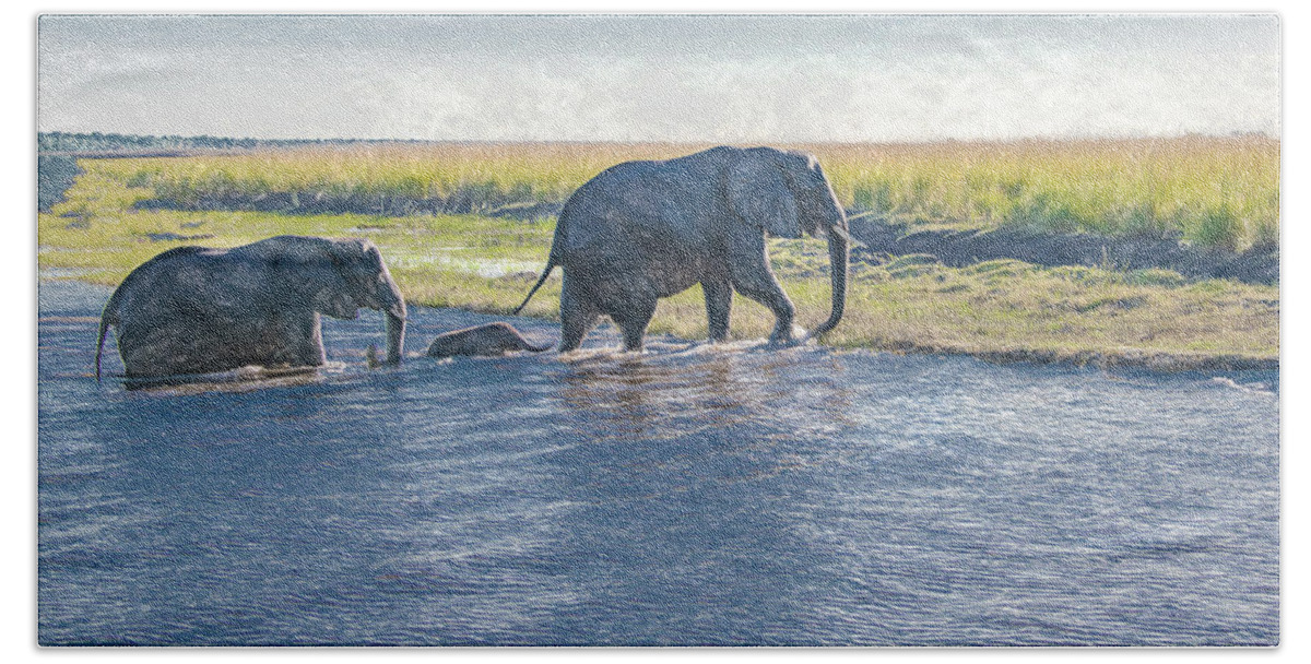 Elephants Hand Towel featuring the photograph Safe Crossing by Marcy Wielfaert