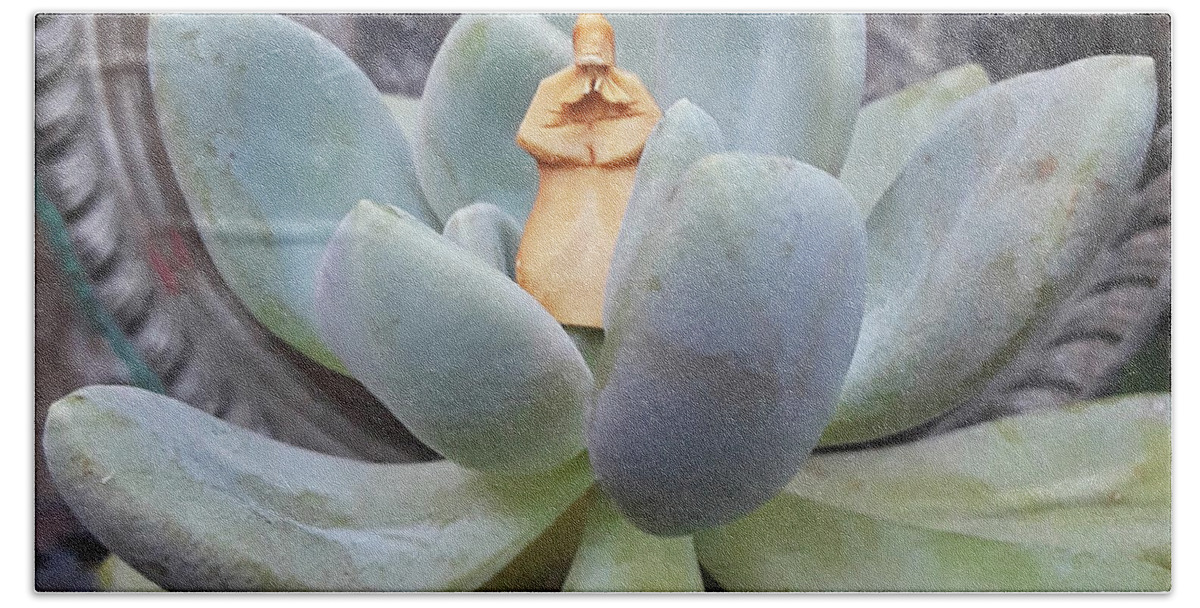 Dudleya Hand Towel featuring the photograph Sage in a Succulent by Ismael Cavazos