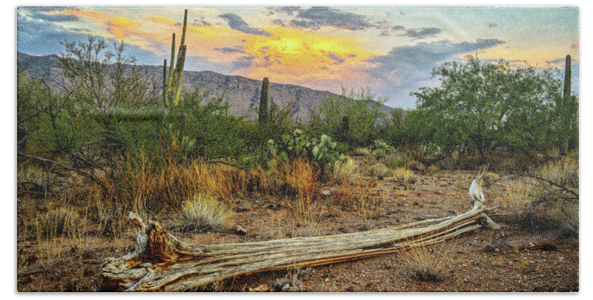 Saguaro Bath Towel featuring the photograph Saguaro Cactus Skeleton and Rincon Mountains by Chance Kafka