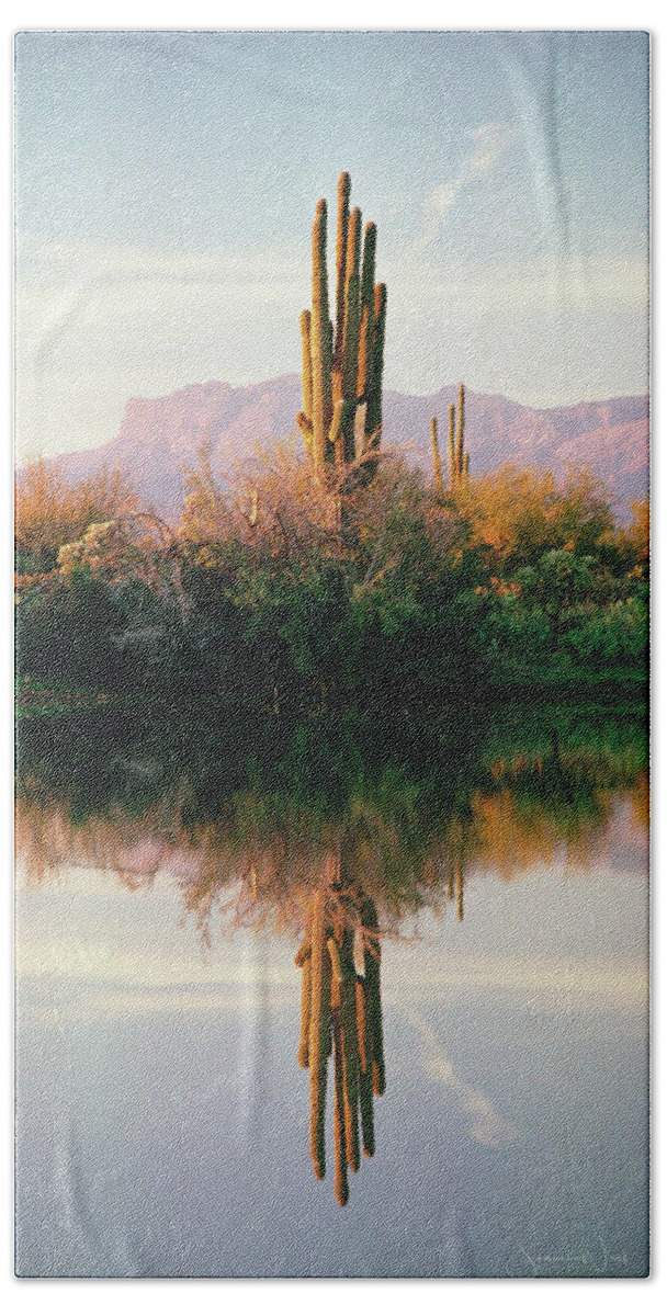 Saguaro Hand Towel featuring the photograph Saguaro Reflection Pano by Joanne West
