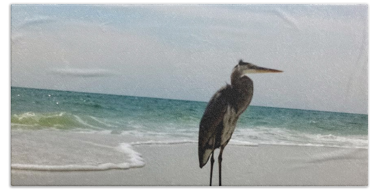 Bird Ocean Sea Sand Florida Bath Towel featuring the photograph Sand, water, Bird by James and Donna Daugherty