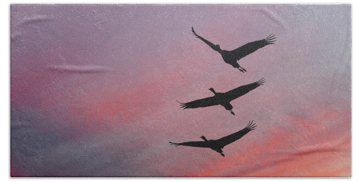 Animal Bath Towel featuring the photograph Sandhill Cranes at Sunset by Jeff Goulden