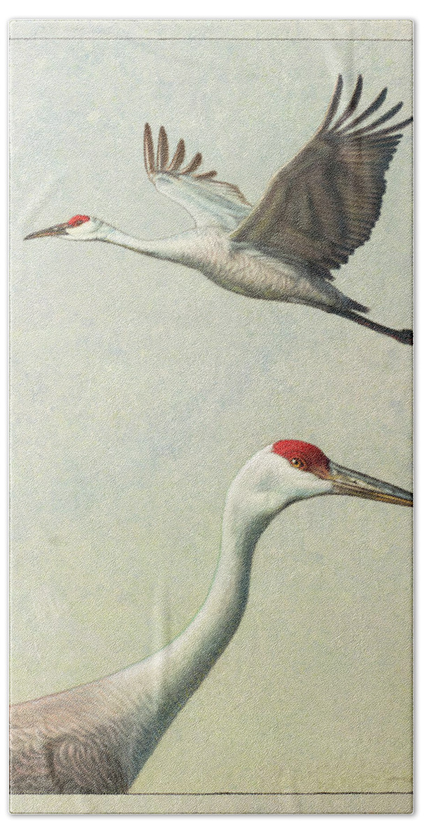 Crane Hand Towel featuring the painting Sandhill Cranes by James W Johnson
