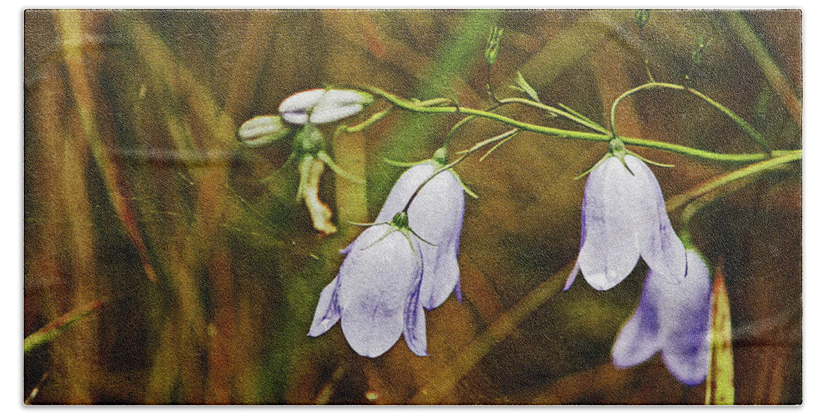 Scotland Bath Towel featuring the photograph SCOTLAND. Loch Rannoch. Harebells In The Grass. by Lachlan Main