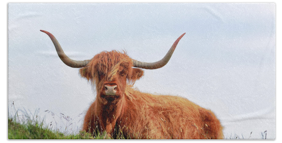 Highland Cow Bath Towel featuring the photograph Scottish Highland Cow - Drinan - Skye by Grant Glendinning
