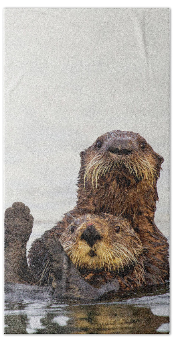 Sebastian Kennerknecht Hand Towel featuring the photograph Sea Otter Pup Hugging Mother by Sebastian Kennerknecht