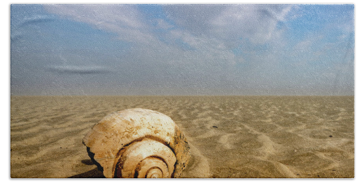 Hunting Island Bath Towel featuring the photograph Sea Shell by Joye Ardyn Durham