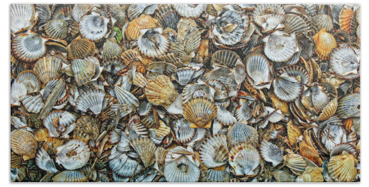 Sea Hand Towel featuring the photograph Sea Shells by David Birchall