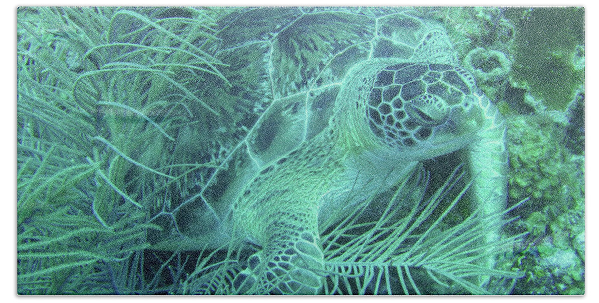 Marine Life Bath Towel featuring the photograph Sea Turtle Underwater Wonders by Leslie Struxness