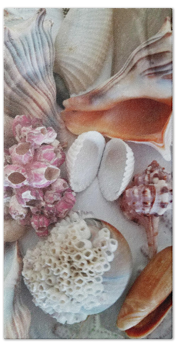 Still Life Bath Towel featuring the photograph Seashell Assortment III by Sharon Williams Eng