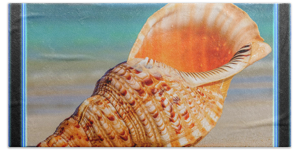 Seashells Bath Towel featuring the photograph Seashells Gallery Button by Aloha Art