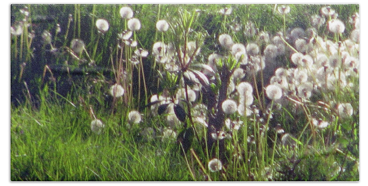 Dandelion Seed Heads Hand Towel featuring the photograph Field of Seed Heads by Jaeda DeWalt