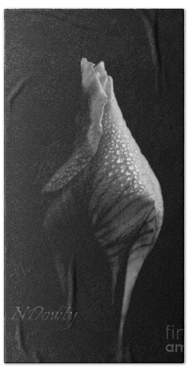 Shadow On Siberian Iris Hand Towel featuring the photograph Shadow on Siberian Iris by Natalie Dowty