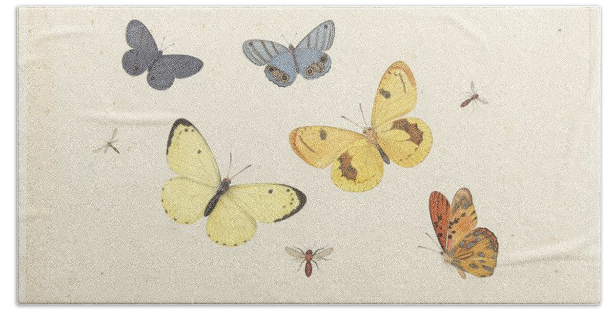 Sheet Of Studies With Five Butterflies Bath Towel featuring the painting Sheet of Studies with Five Butterflies by MotionAge Designs