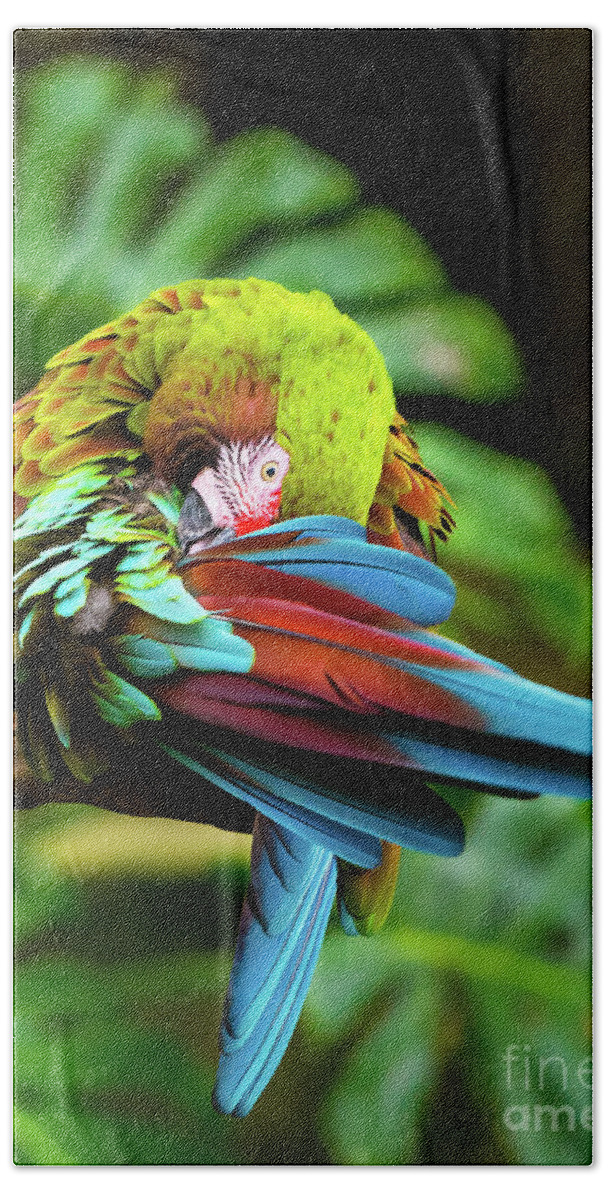 Color Hand Towel featuring the photograph Shy Parrot by Dheeraj Mutha