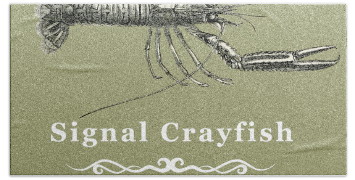 Crayfish Bath Towel featuring the digital art Signal Crayfish by Lisa Redfern
