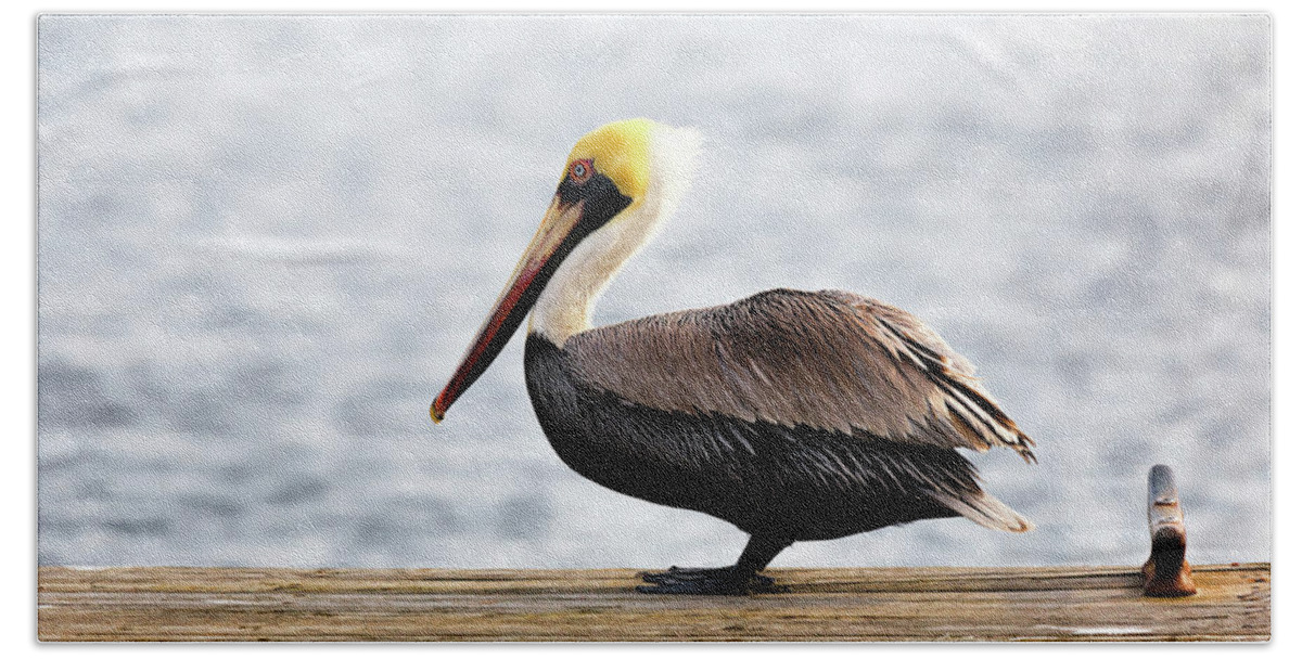 Pelican Hand Towel featuring the photograph Sitting on the Dock of the Bay by Susan Rissi Tregoning