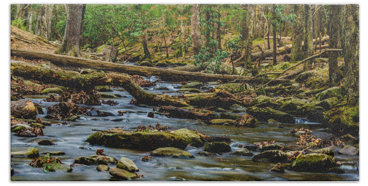 Abrams Creek Bath Towel featuring the photograph Smoky Mountain Stream by Douglas Wielfaert