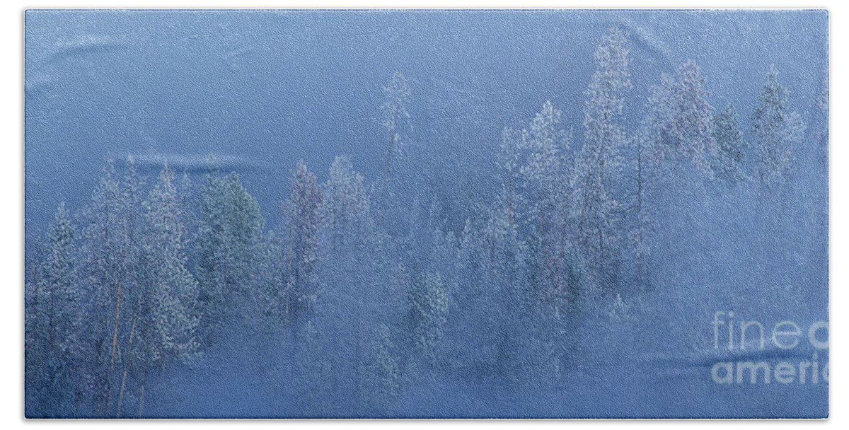 Dave Welling Bath Towel featuring the photograph Snow Covered Trees In Fog Yellowstone National Park Wyoming by Dave Welling
