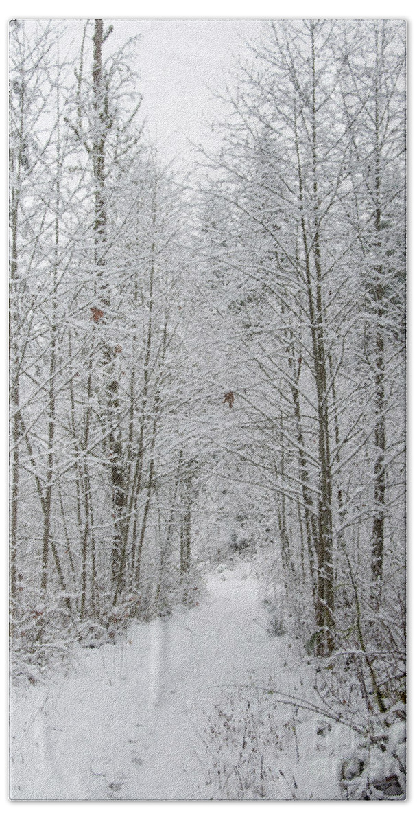 Snow Bath Towel featuring the digital art Snow Covered Trees Line The Path by Kirt Tisdale