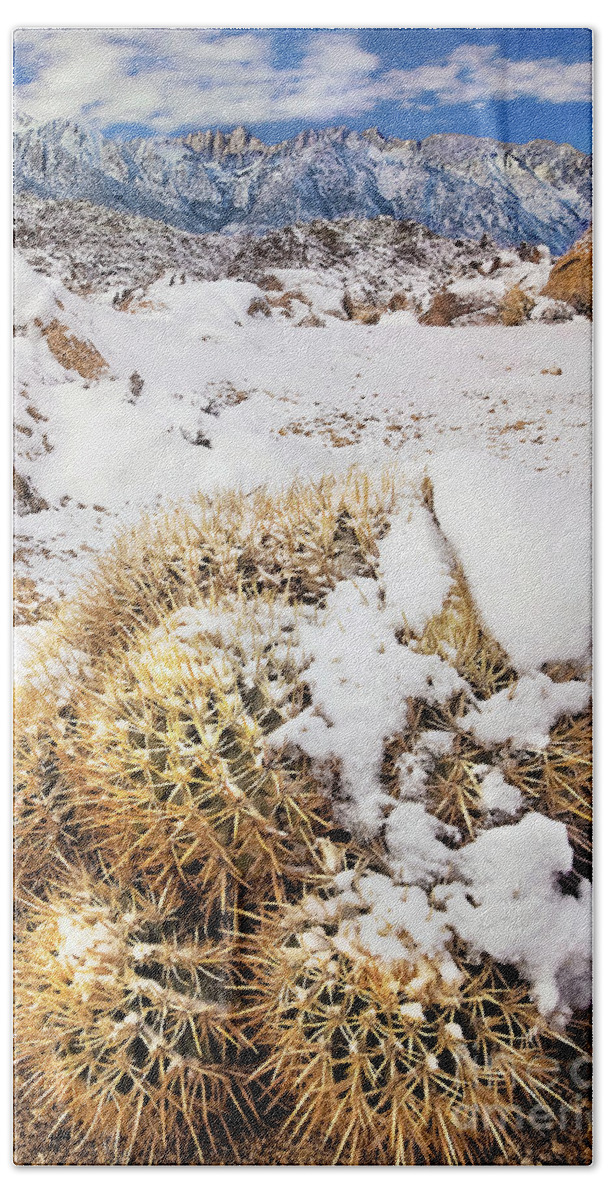 Dave Welling Bath Towel featuring the photograph Snow On Cactus Alabama Hills Eastern Sierras California by Dave Welling