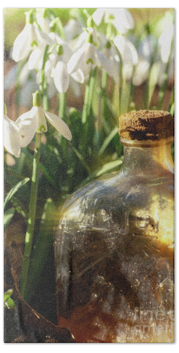 Snowdrops Bath Towel featuring the photograph Snowdrop flowers and old glass jar with sunlight by Simon Bratt