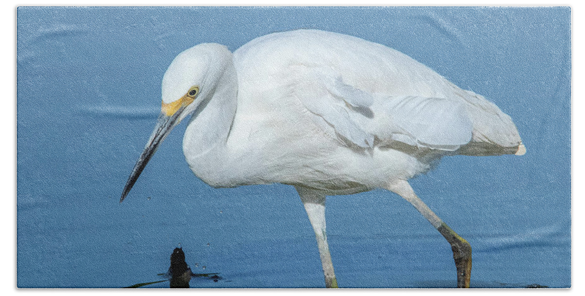 Nature Hand Towel featuring the photograph Snowy Egret DMSB0180 by Gerry Gantt
