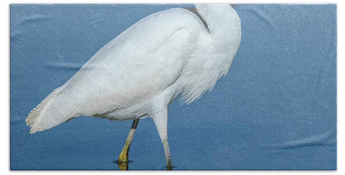 Nature Hand Towel featuring the photograph Snowy Egret DMSB0182 by Gerry Gantt