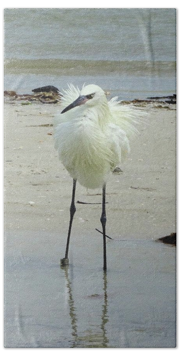 Birds Bath Towel featuring the photograph Snowy Egret Ruffled by Karen Stansberry