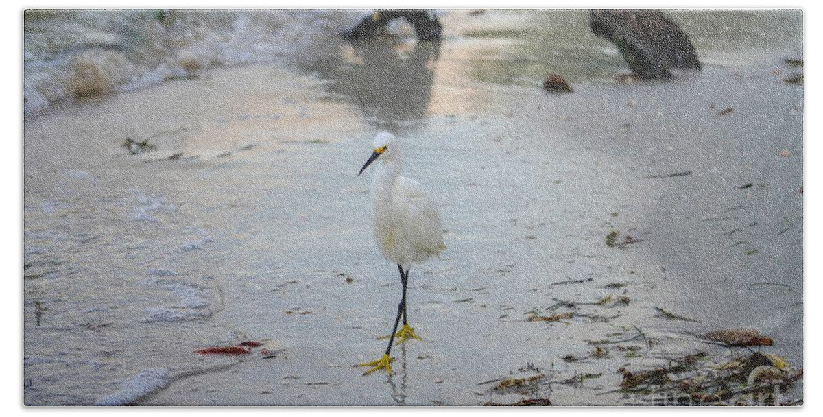 Bird Hand Towel featuring the photograph Snowy Egret by Susan Rydberg