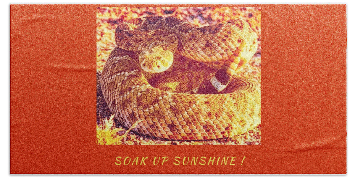 Snake Hand Towel featuring the photograph Soak Up Sunshine by Judy Kennedy