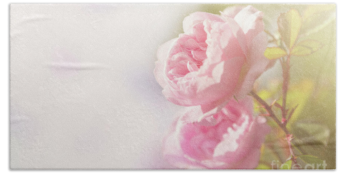 Rose Bath Towel featuring the photograph Soft pink rose with space for text by Jane Rix