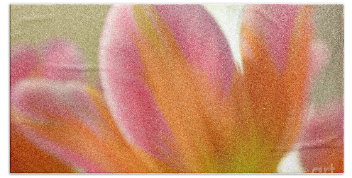 Flower Bath Towel featuring the photograph Soft Tulip by Lorenzo Cassina