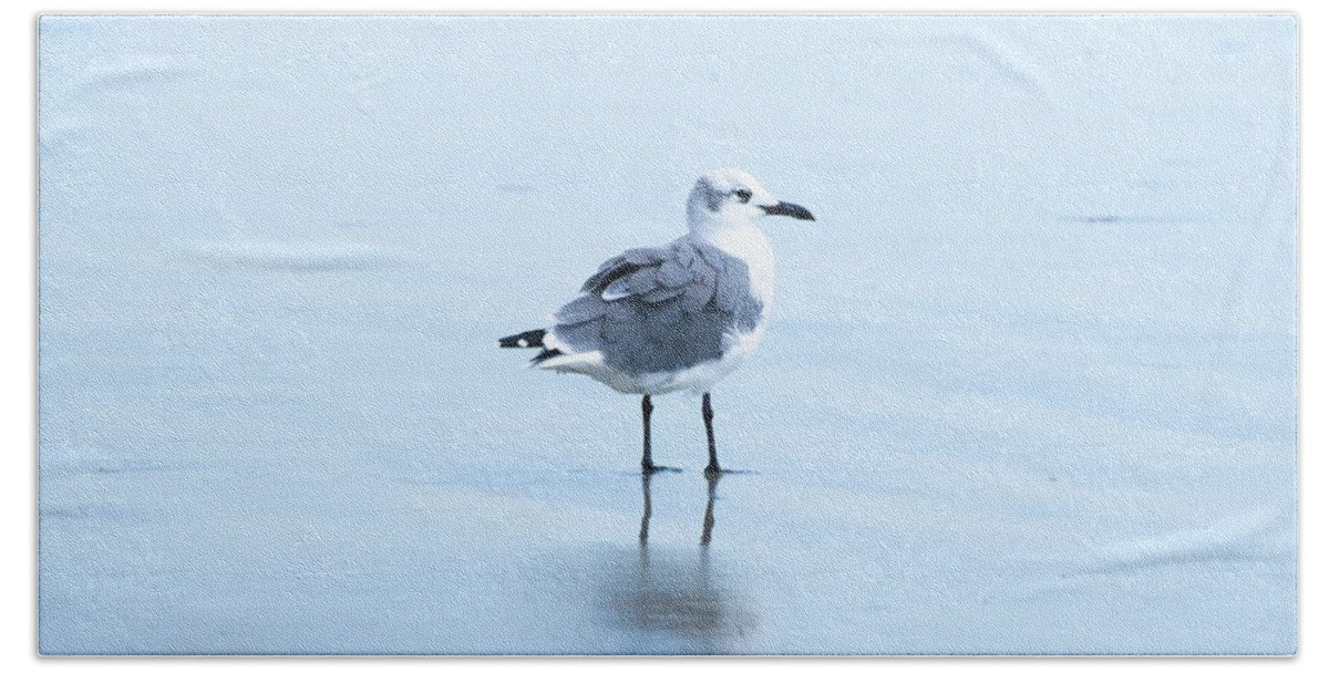 Laughing Gull Bath Towel featuring the photograph Solitary Laughing Gull by Mary Ann Artz