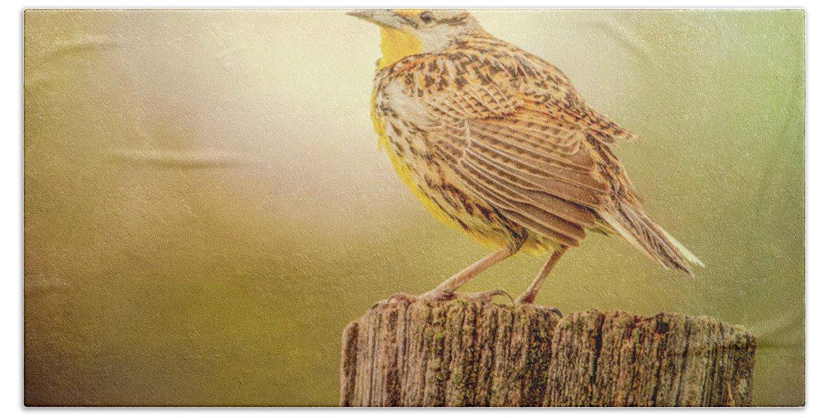 Meadowlark Hand Towel featuring the photograph Songster of the Meadow by Marcy Wielfaert