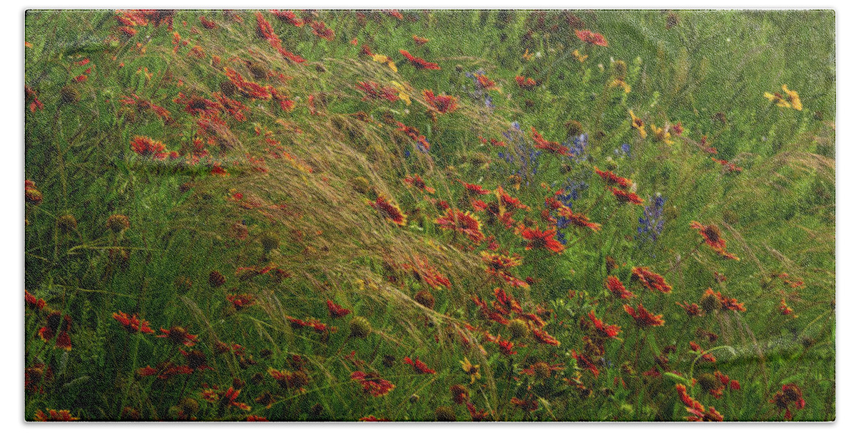 Paintbrushes Bath Towel featuring the photograph Spear Grass by Johnny Boyd