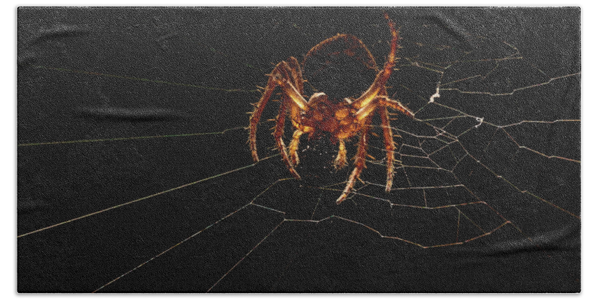 Animal Bath Towel featuring the photograph Macro Photography - Spider on Web by Amelia Pearn