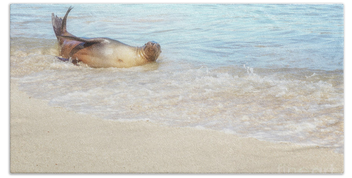 Sea Lion Bath Towel featuring the photograph Splish Splash Sea Lion by Becqi Sherman